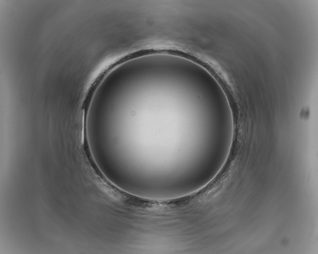 X0000091081175200708131249