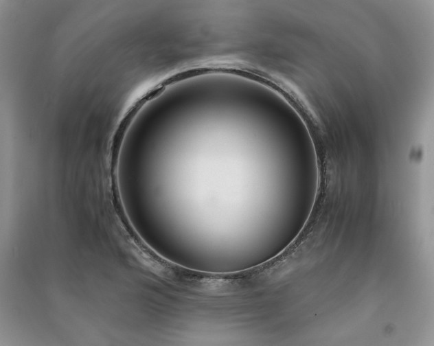 X0000091081176200708131249