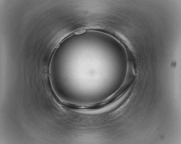 X0000091081177200708131249