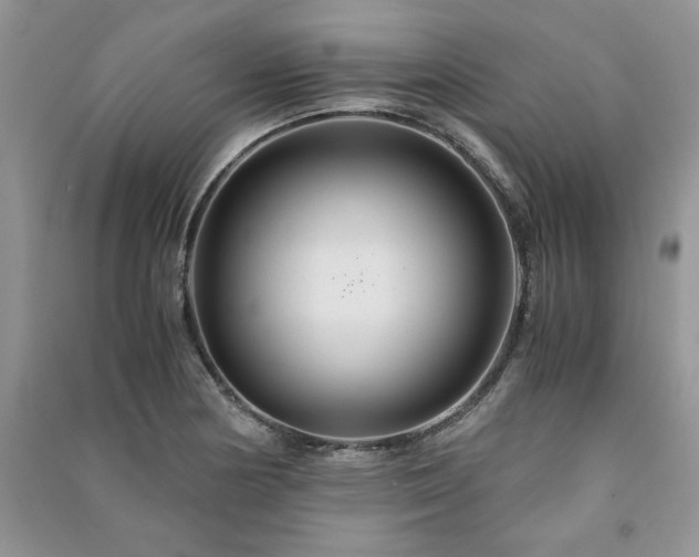 X0000091081178200708131249