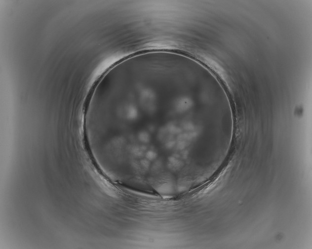 X0000091081179200708131249