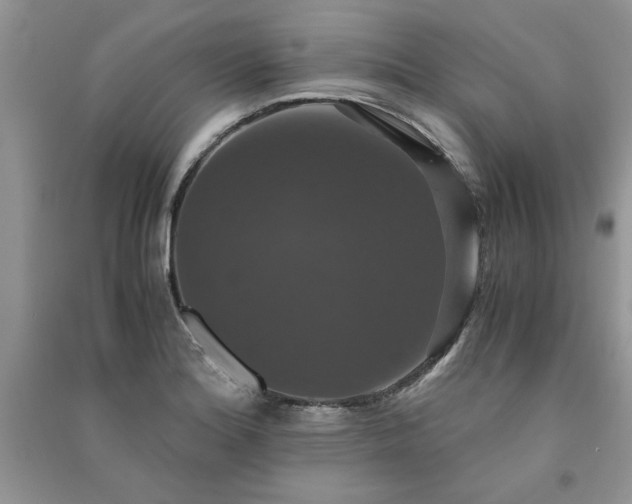 X0000091081180200708131249