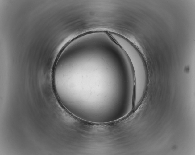 X0000091081181200708131249