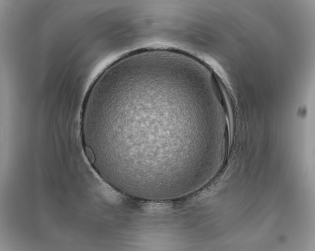 X0000091081183200708131248