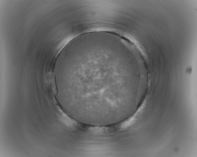 X0000091081185200708131248