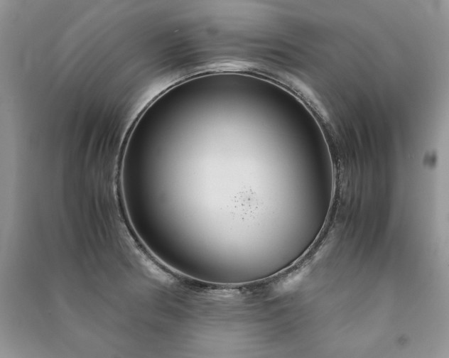 X0000091081186200708131248