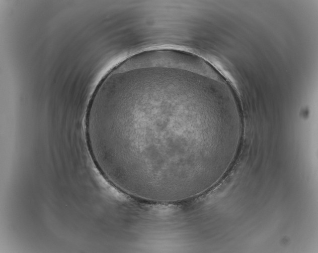 X0000091081189200708131248