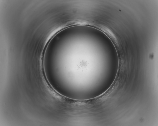 X0000091081190200708131248