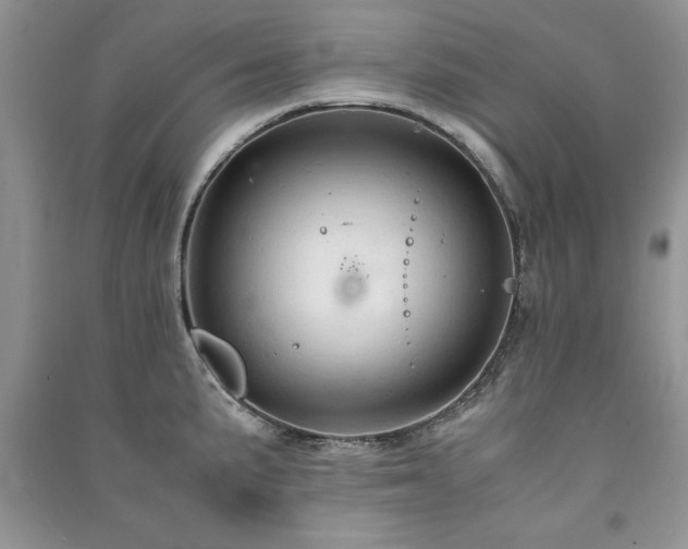 X0000091081191200708131248