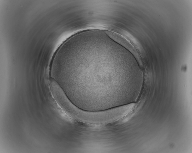 X0000091081192200708131248