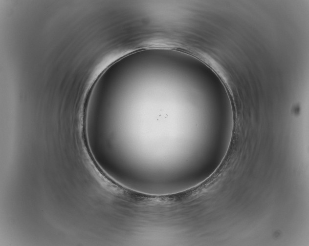 X0000091081195200708131248