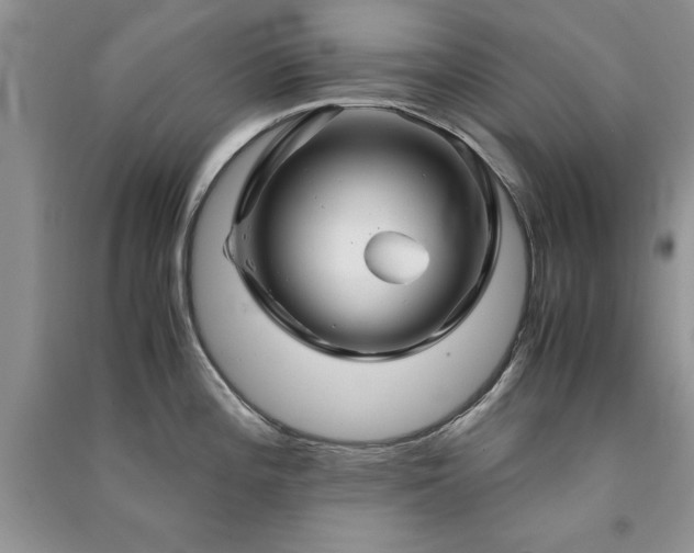 X0000091081196200708131248