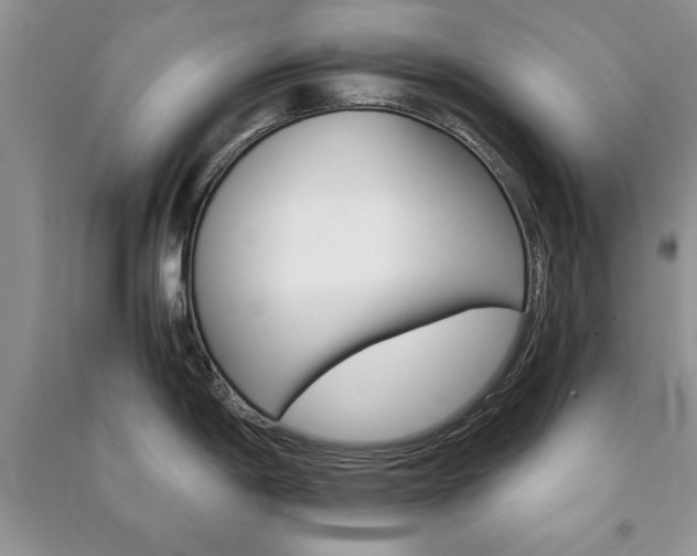 X0000091081198200708131248