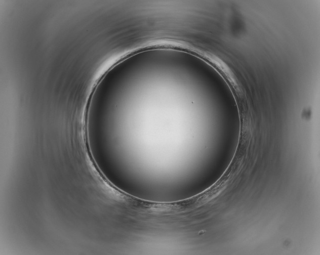 X0000091081199200708131248