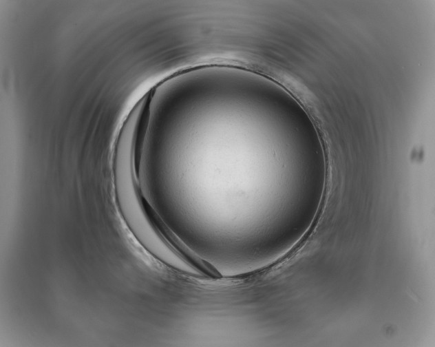 X0000091081200200708131248