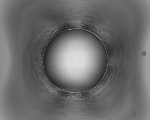 X0000091081201200708131247