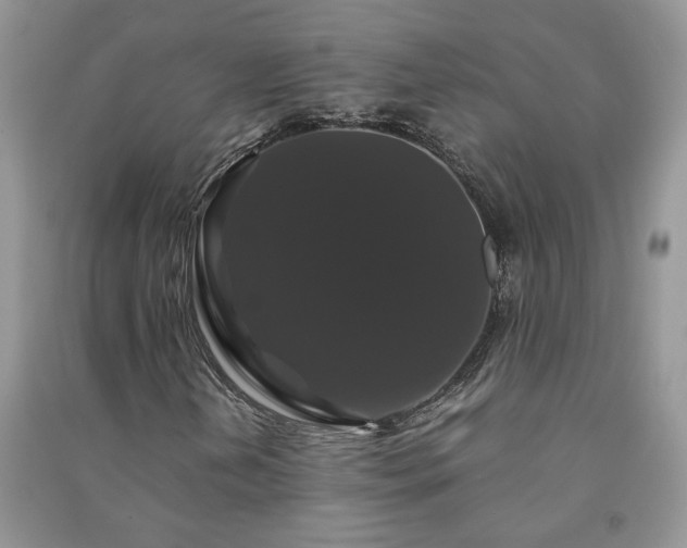 X0000091081202200708131247