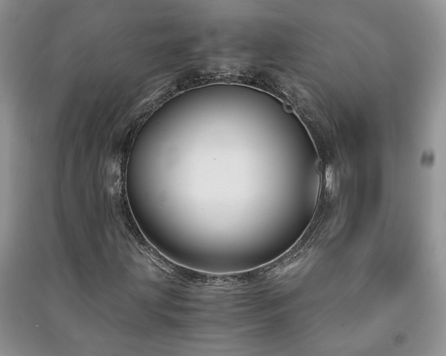 X0000091081203200708131247