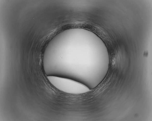 X0000091081204200708131248