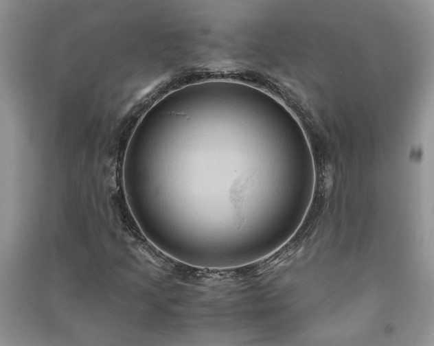 X0000091081205200708131248