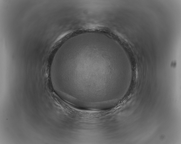 X0000091081206200708131248