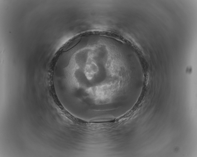 X0000091081208200708131248