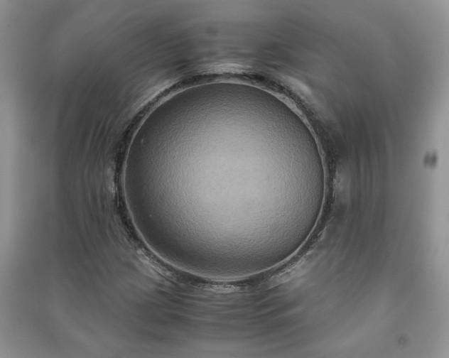 X0000091081209200708131248