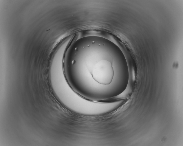 X0000091081210200708131248