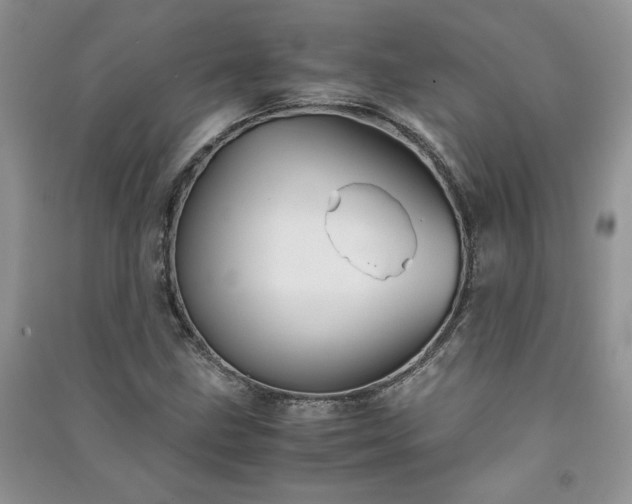 X0000091081211200708131248