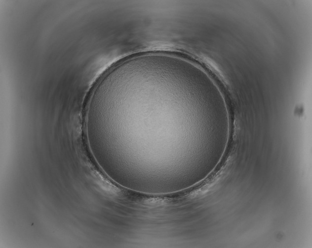 X0000091081212200708131248