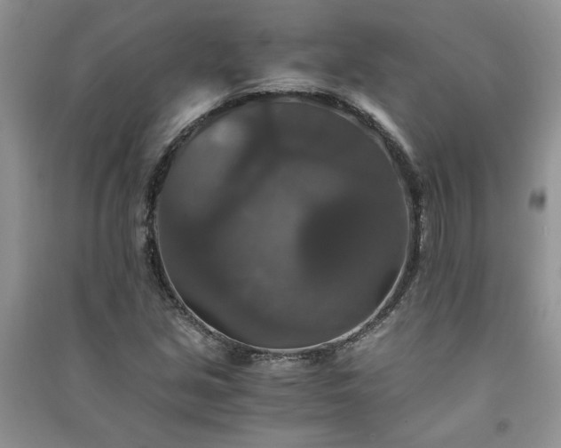 X0000091081213200708131248