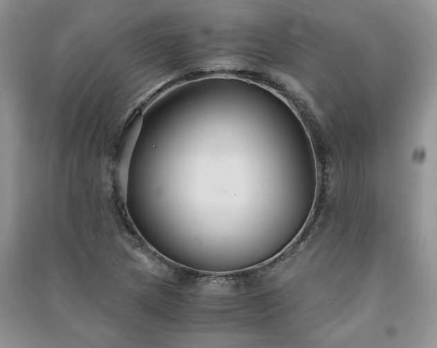 X0000091081217200708131248