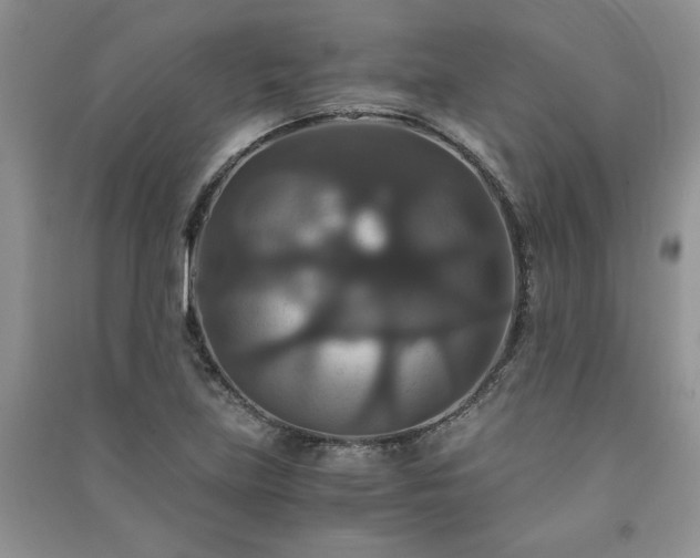 X0000091081219200708131248