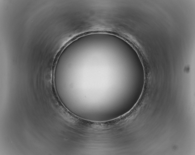 X0000091081220200708131248