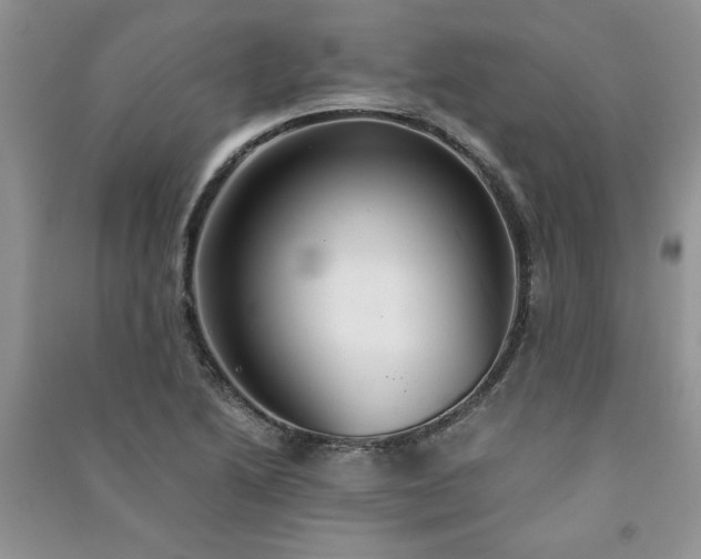 X0000091081222200708131248