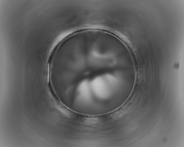 X0000091081223200708131248