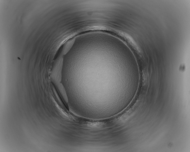 X0000091081225200708131248