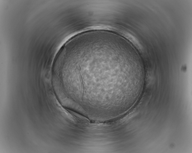 X0000091081228200708131248