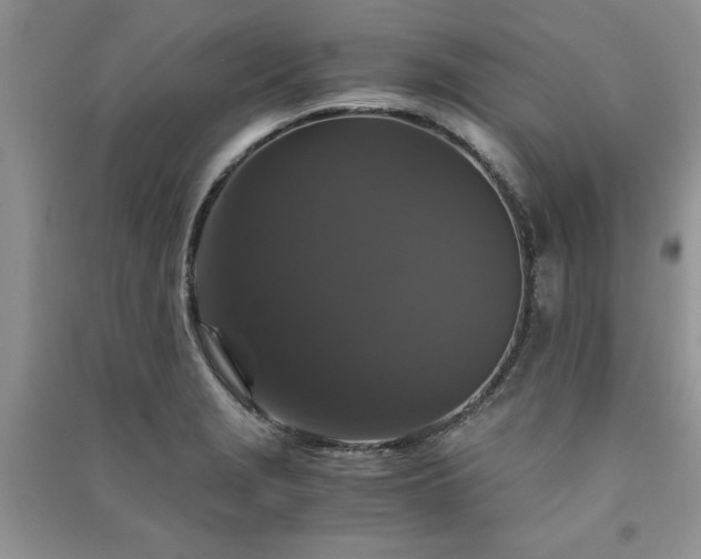 X0000091081229200708131248