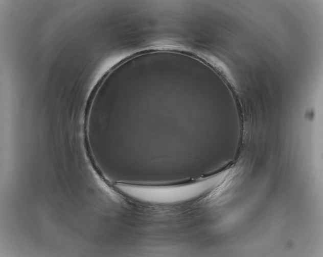 X0000091081231200708131248