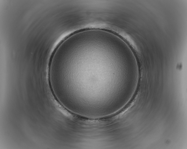 X0000091081232200708131248