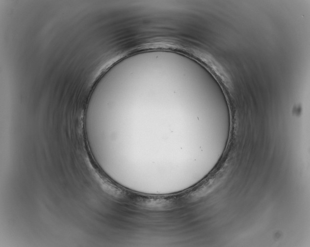 X0000091081233200708131248