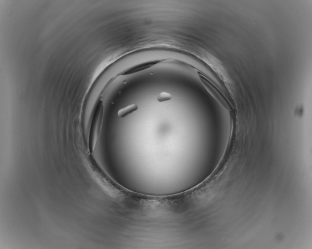 X0000091081234200708131248