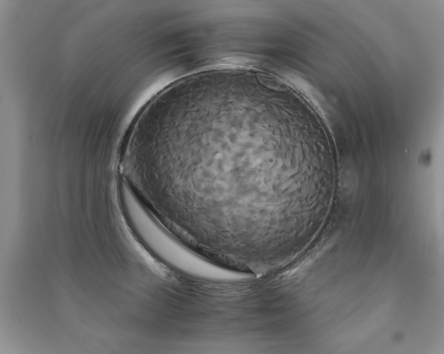 X0000091081235200708131248
