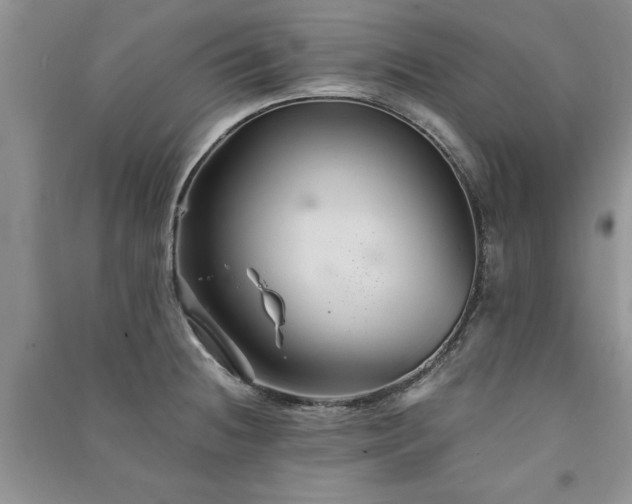 X0000091081236200708131248