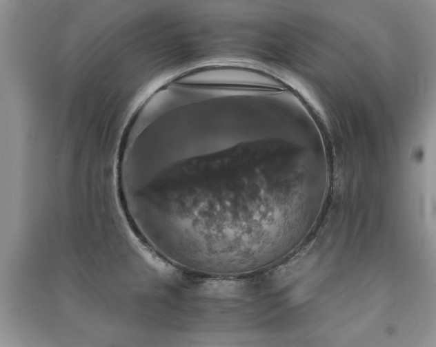 X0000091081237200708131248