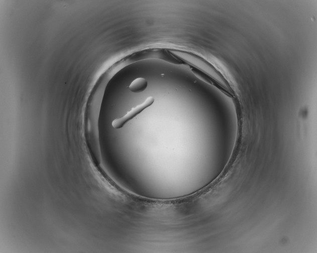 X0000091081238200708131248