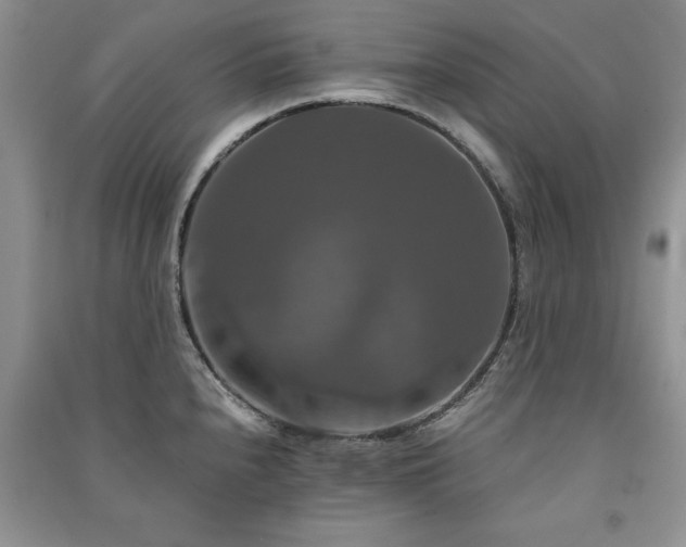 X0000091081240200708131248