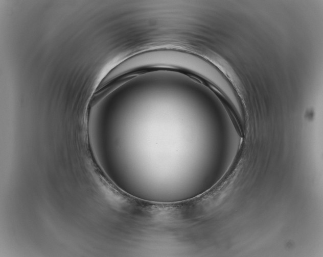 X0000091081242200708131248