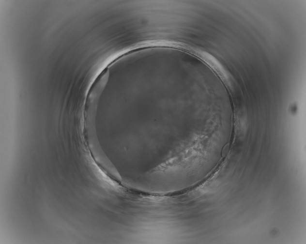 X0000091081244200708131248